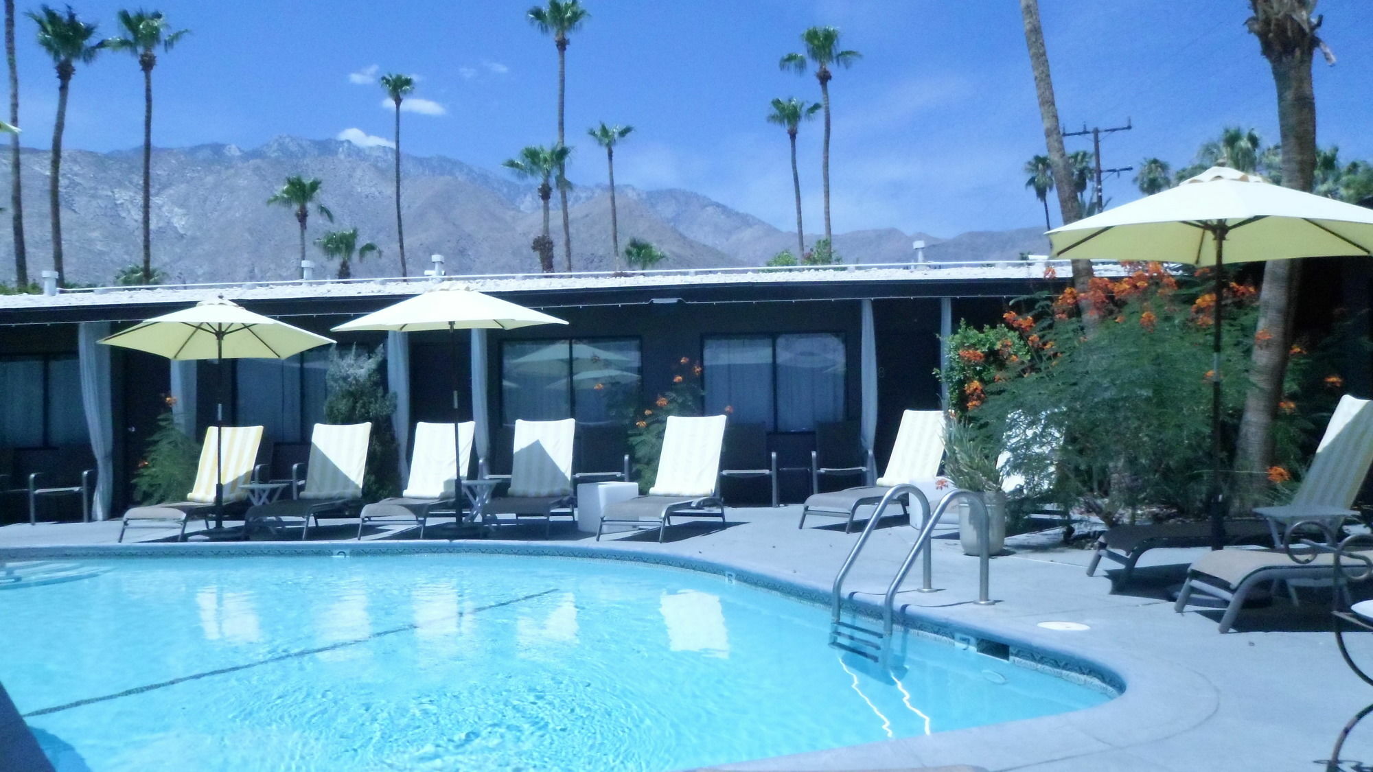 Avanti Hotel Palm Springs Esterno foto