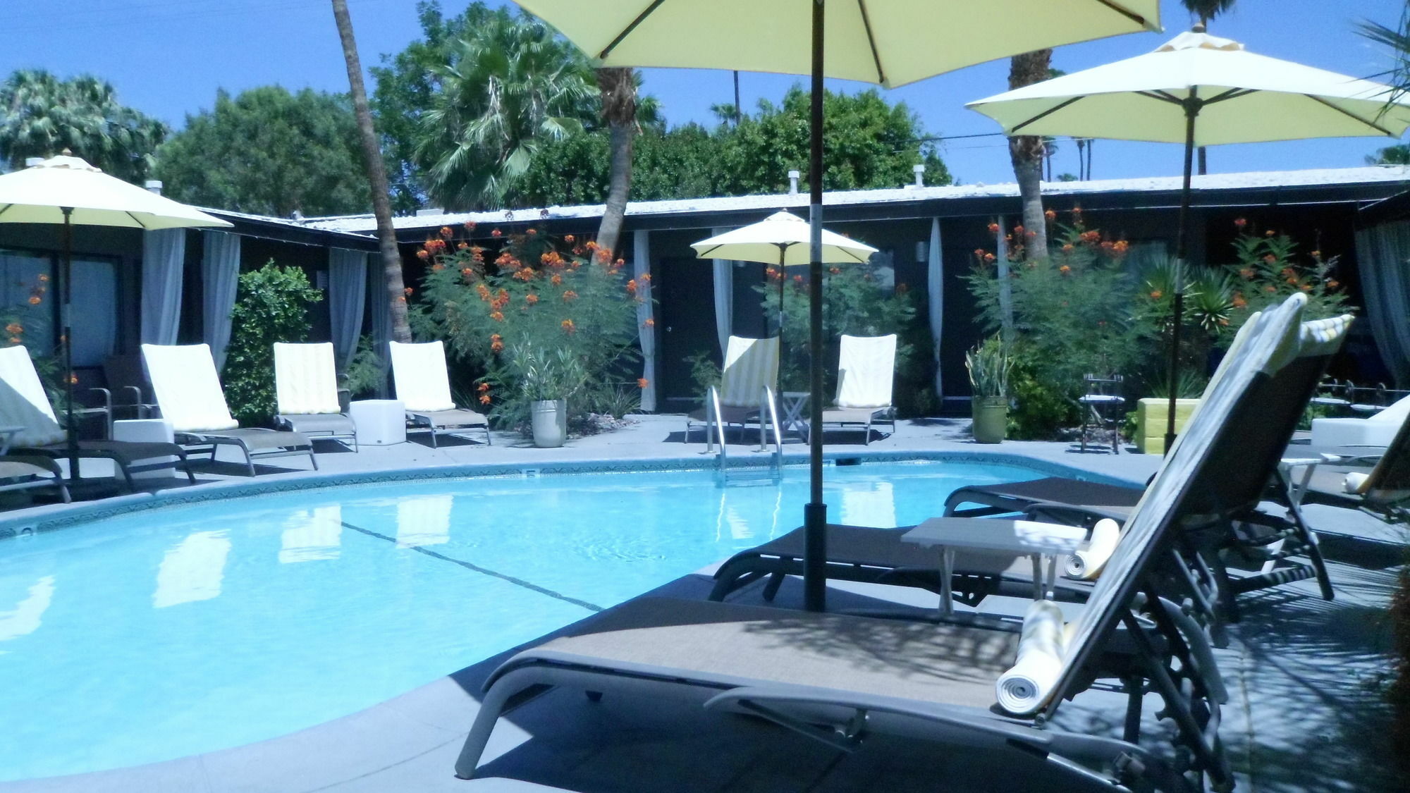 Avanti Hotel Palm Springs Esterno foto