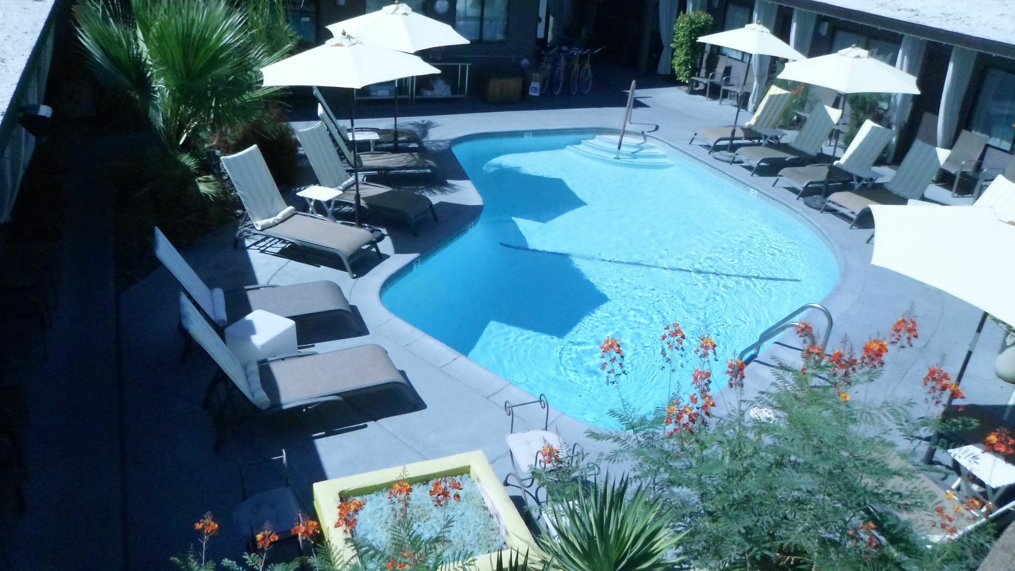 Avanti Hotel Palm Springs Esterno foto